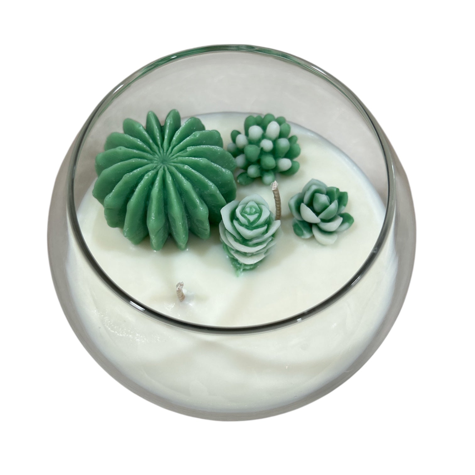 succulent candle Terrarium Candle – Lucky You Candle Co