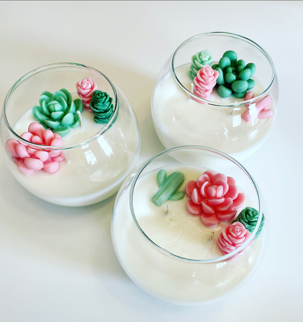 succulent terrarium candle Terrarium Candle – Lucky You Candle Co