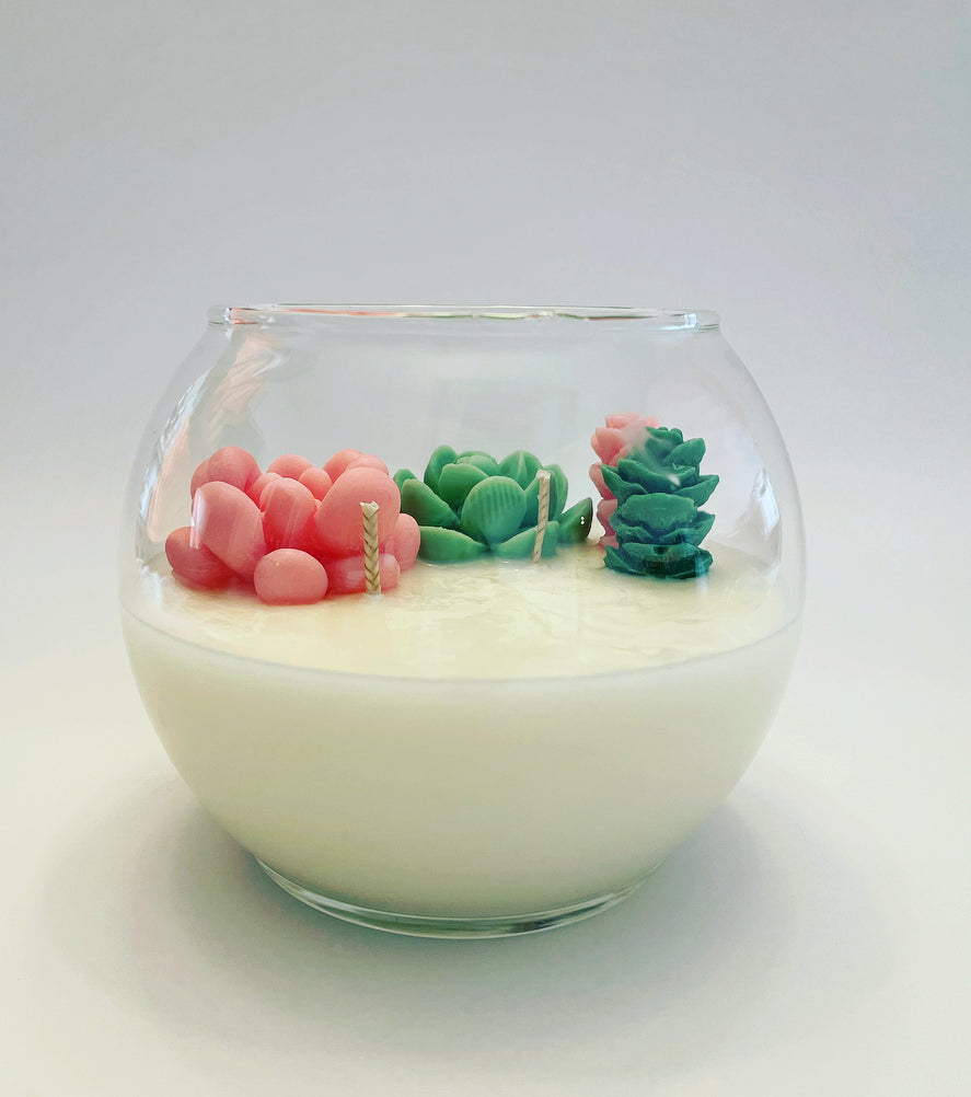 succulent terrarium candle Terrarium Candle